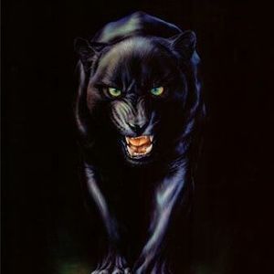 Meet your Posher, Eloy